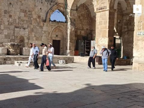 الأردن يدين الاعتداءات في باب العامود ومجلس الأوقاف يحذر من "استفزازات"