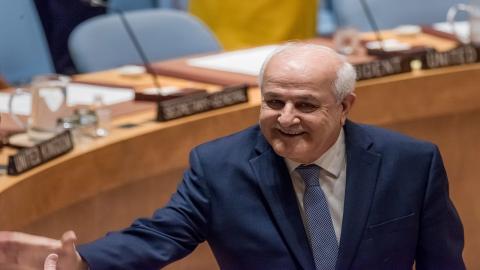 رياض منصور