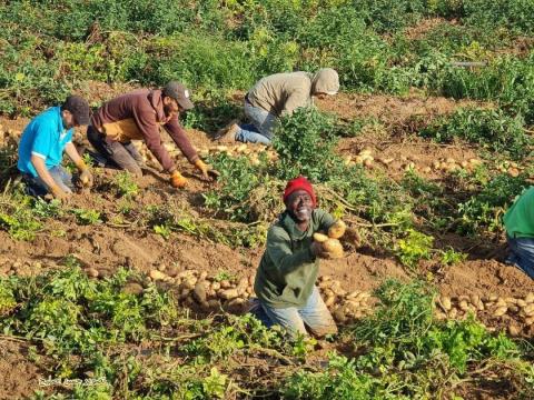 جانب من عمل المزارعين في المنطقة الحدودية شمال بيت لاهيا شمال قطاع غزة. 4