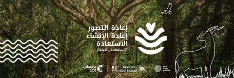 يوم البيئة العالمي