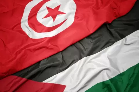 تونس - فلسطين