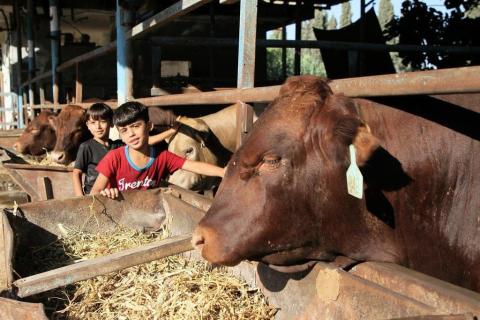 غزة تتجهز لاستقبال عيد الأضحى المبارك
