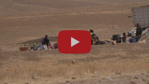 حمصة