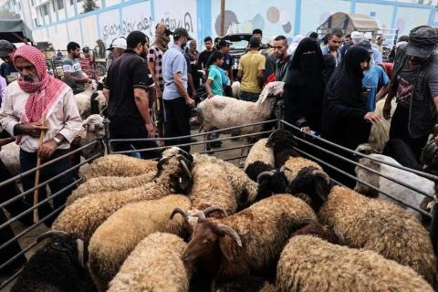 عيد الاضحى - غزة
