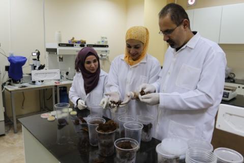 "خضوري" تحصل على اعتماد أول برنامج دكتوراه   