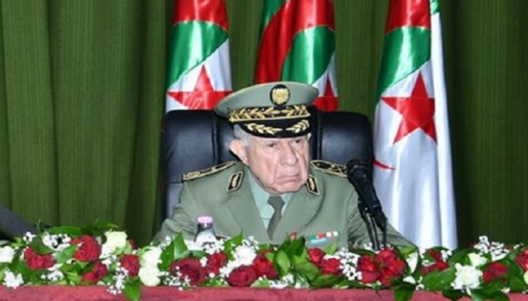 السعيد شنقريحة