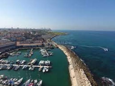 ميناء يافا