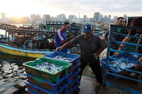     صيادون فلسطينيون يعرضون صيدهم الوفير من السمك في السوق بعد توسيع إسرائيل مساحة الصيد إلى 15 ميل.