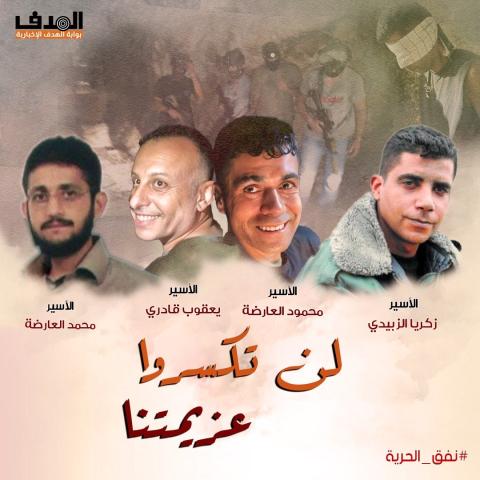 فهرس