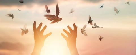 النُطف المُحرَّرة كفعل مقاوم