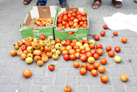  مزارعون يرفضون شروطا إسرائيلية لتصدير السلع الزراعية