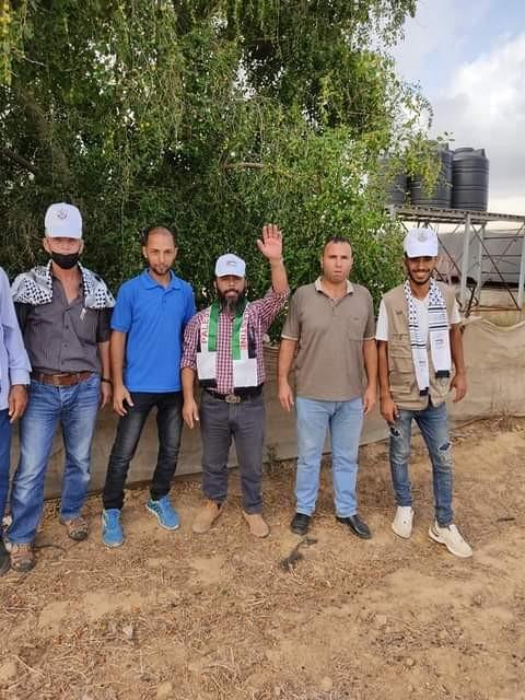 فعاليات قطف ثمار شجرة الزيتون في  عبسان الكبيرة