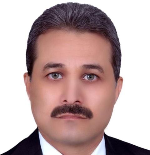 محمد الفرماوي