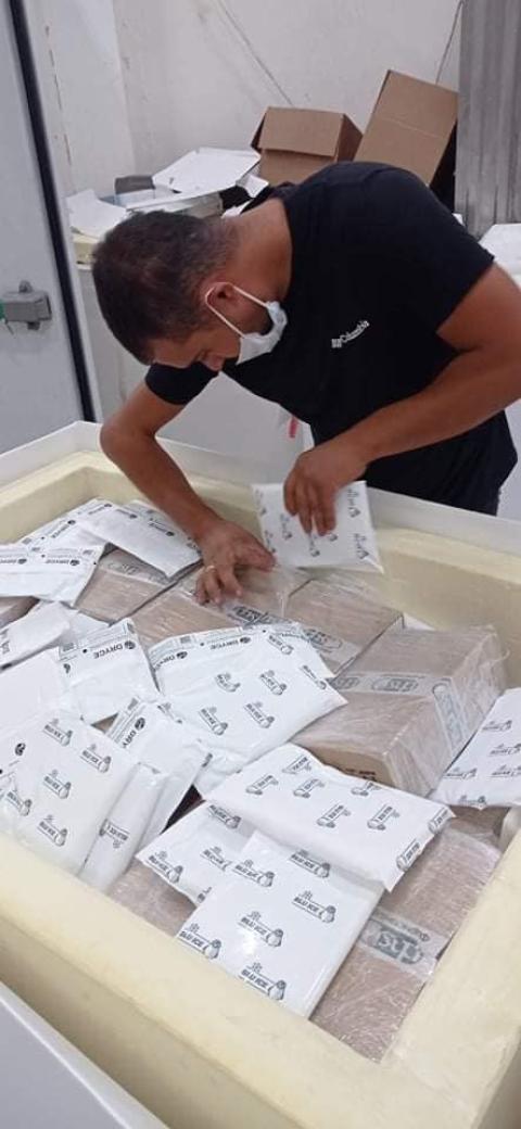 525 ألف جرعة من لقاح كورونا إلى قطاع غزة 1