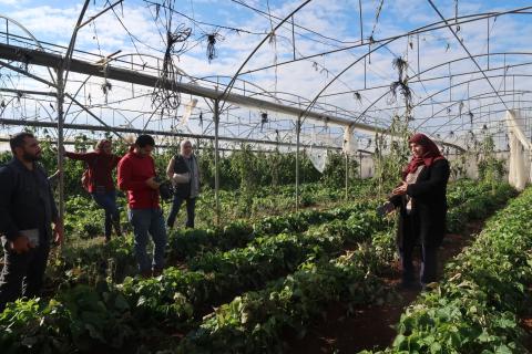   الزراعة في الجلمة