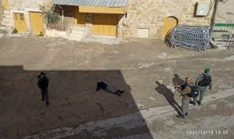 اعتقال مُسنّة فلسطينية