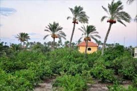 أراضي المندوب
