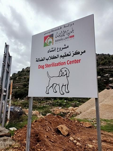 بلدية رام الله تعتمد انشاء مركزا لتعقيم الكلاب الضالة.jpg