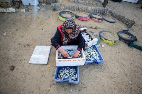 المسنة الفلسطينية أم جميل الأقرع من دير البلح وسط قطاع غزة تشتري الأسماك من الحسبة لتبيعها في السوق، لتعيل أسرتهامع احتفال العالم بيوم المرأة العالمي.