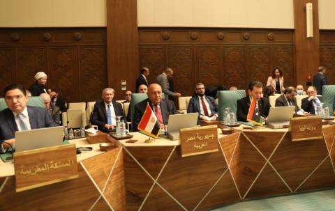 الوزير  سامح شكري.jpg