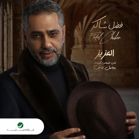فضل شاكر يحقق ملايين المشاهدات " الـ " ميني ألبوم ، بجامل ناس "   ويطلق أغنية " العزيز "