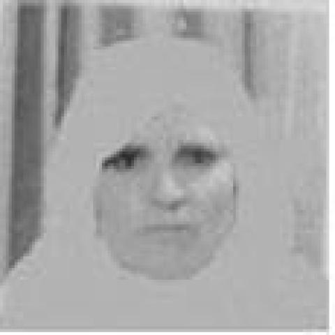 من سلفيت الشهيدة مريم معالي.jpg