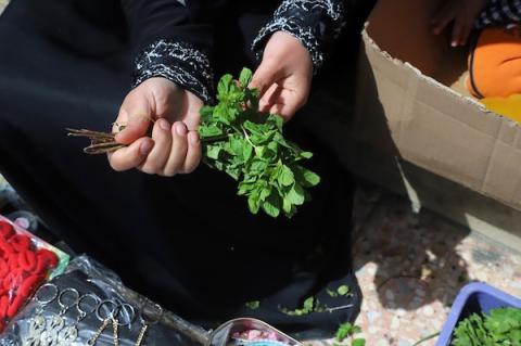 تبيع المرأة الفلسطينية  زين هتهت (32 عاما) النعناع في الشارع لتحسين الظروف الاقتصادية لأسرتها المكونة من سبعة أفراد