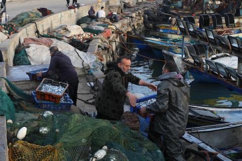 صيادون فلسطينيون يجمعون الأسماك على شاطئ قطاع غزة