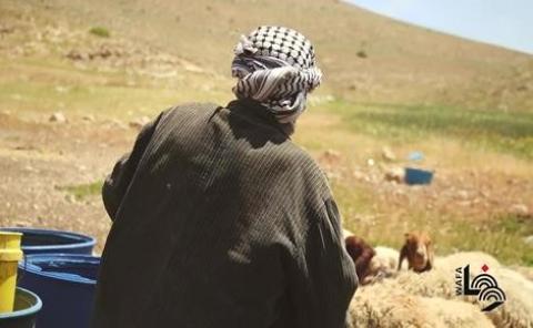 خلّة مكحول في الأغوار الشمالية
