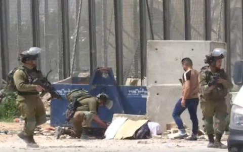 إعدام الفلسطينية غادة سباتين.png