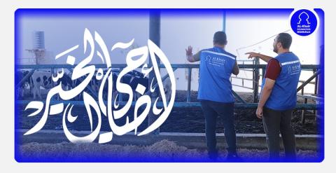 الخير تستعد لتنفيذ موسم الأضاحي في دول الشرق الأوسط