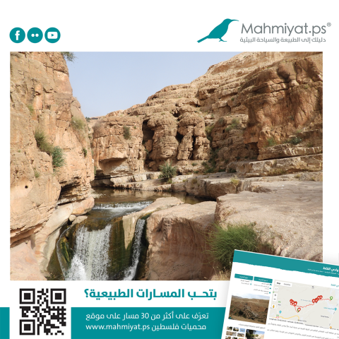 صورة للموقع الالكتروني.png
