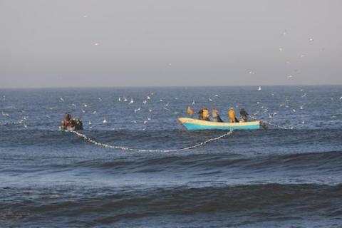 بحر غزة.jpg