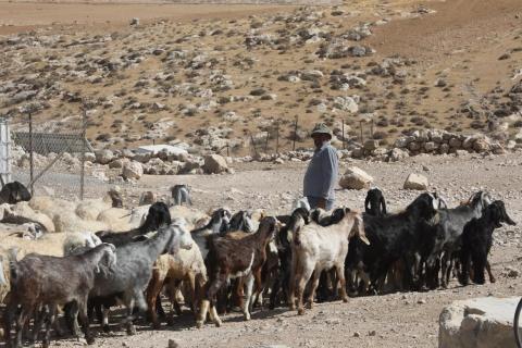 مشاهد من قرية جنبا بمسافر يطا جنوب الخليل المهددة بالتهجير.jpg