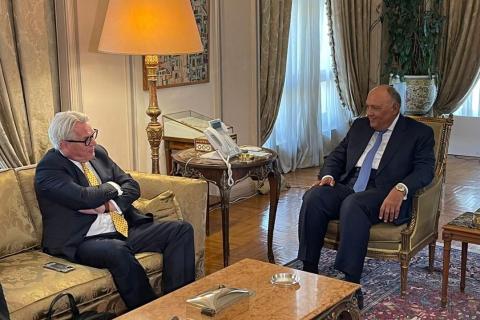شكري يبحث مع مبعوث الأمم المتحدة لعملية السلام تطورات القضية الفلسطينية.jpeg