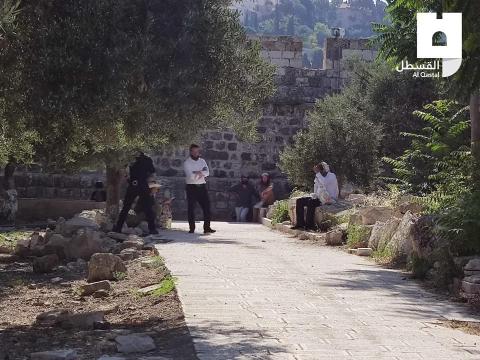 اقتحام  المسجد الأقصى.jpg