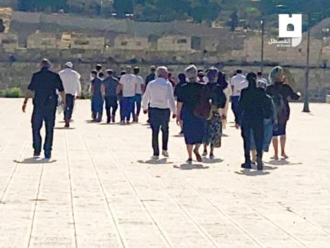 بالفيديو اعتقال 3 شبان .. أكثر من 500 مستوطن يقتحمون الأقصى