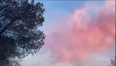 حريق كبير في منطقة حرجية قرب عين ماهل
