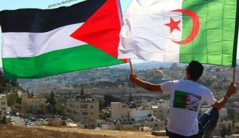 الجزائر-فلسطين.jpg