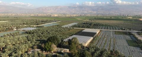 الاغوار الفلسطينية.jpg