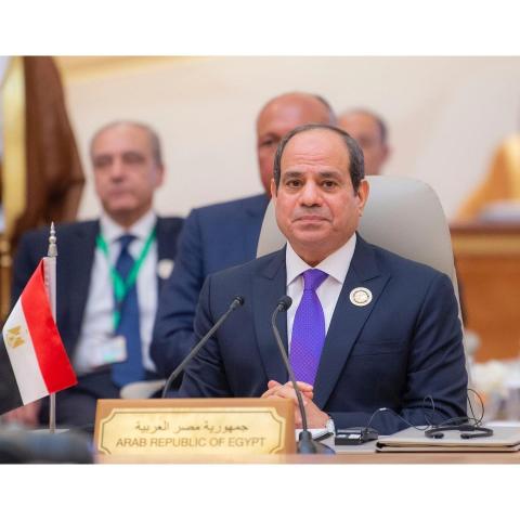 الرئيس عبد الفتاح السيسي.jpg