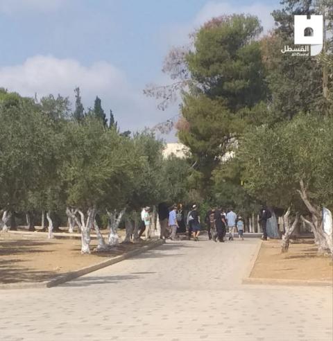بالفيديو اجبار مقدسي على هدم منزله