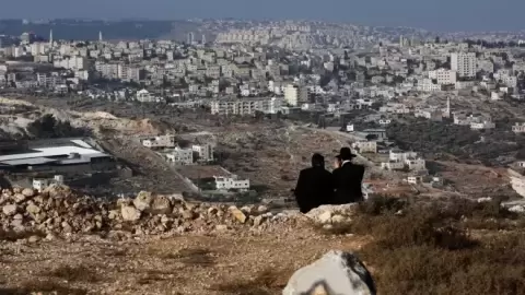 الجولان.webp