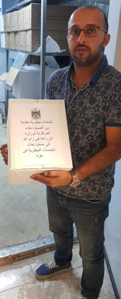 وزارة الزراعة ترسل لقاحات بيطرية إلى قطاع غزة 2.jpg