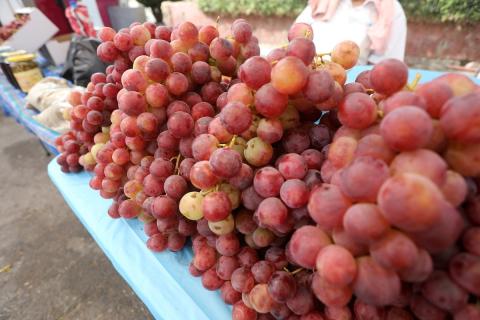 بائعون فلسطينيون يبيعون العنب في سوق للعنب في مدينة رام الله بالضفة الغربية 61.jpg