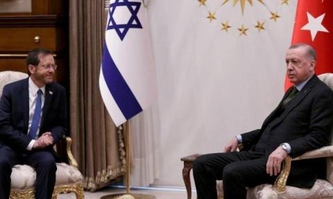إردوغان وهرتسوغ (Getty Images).jpg