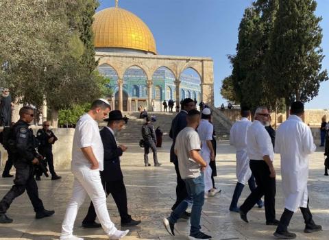 جموعة جديدة من المستوطنين تقتحم المسجد الأقصى المبارك وقوات الاحتلال تعتقل أحد الشبان المرابطين 5.jpg