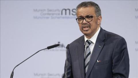 تيدروس ادهانوم غيبريسوس.jpg