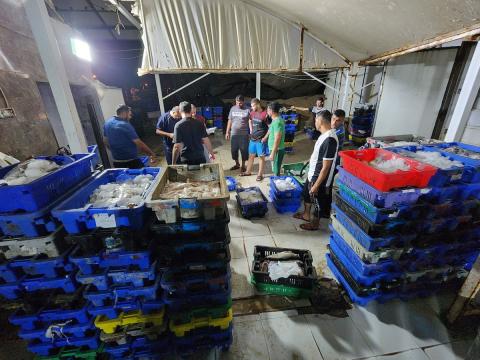 صيادون فلسطينيون يجهزون الأسماك لتصديرها للضفة الغربية للمرة الأولى منذ العدوان الإسرائيلي الأخير على غزة 2.jpg