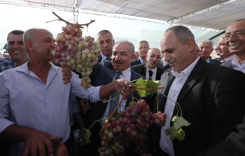 مهرجان العنب الفلسطيني التاسع في مدينة حلحول 16.jpg